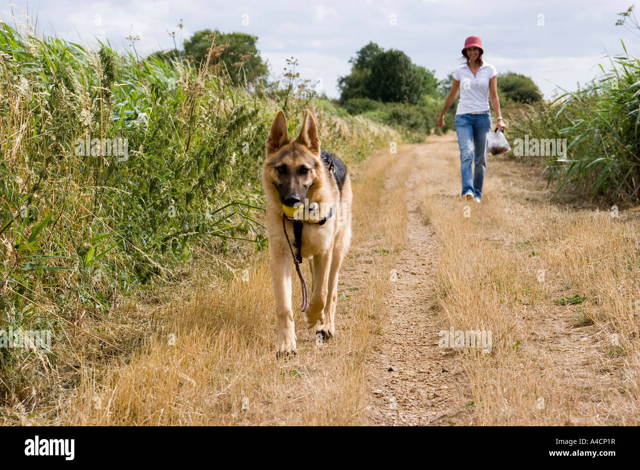 walking dog off lead