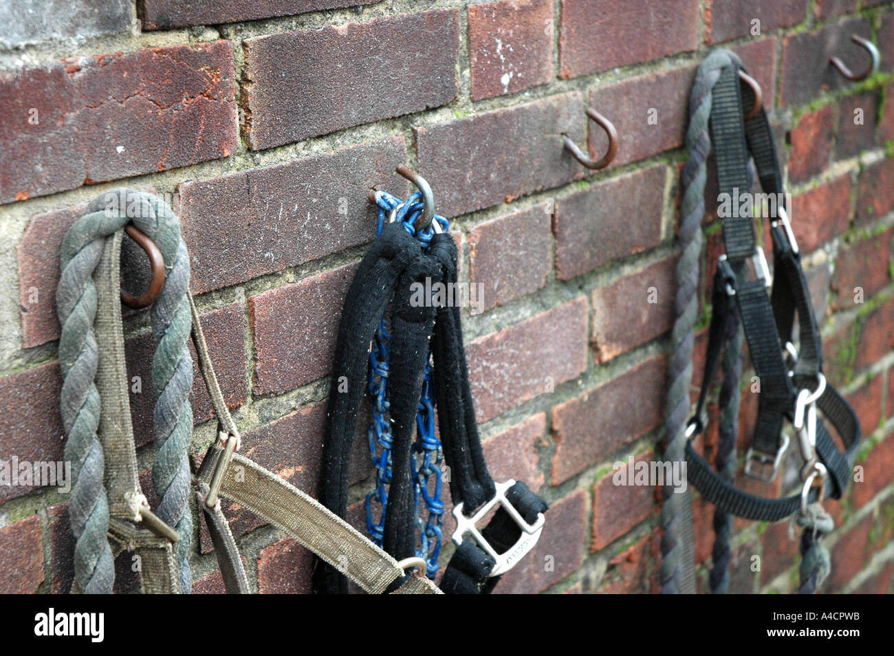 Ropes hanging on a wall Stock Photo