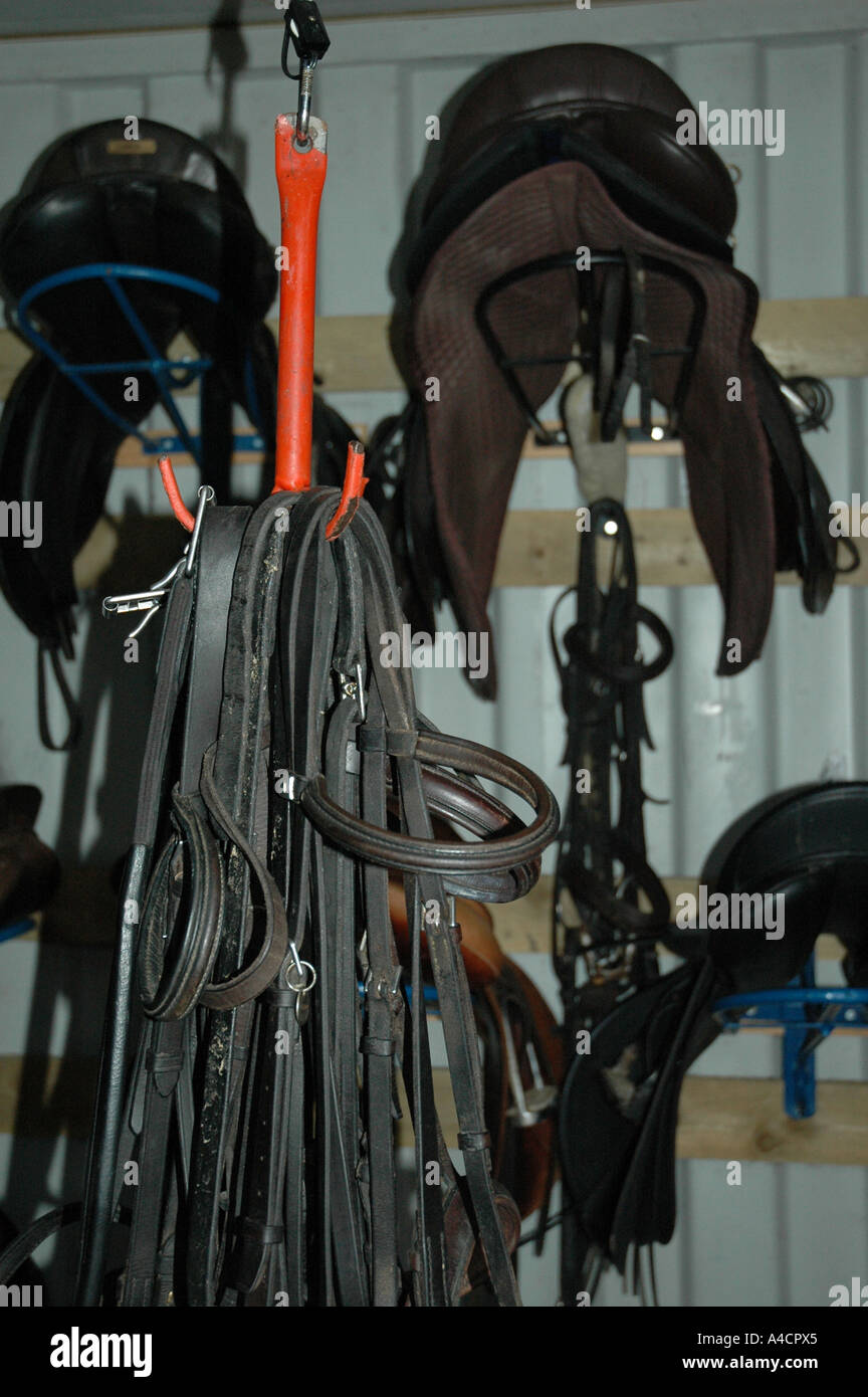 Horse riding equipment Stock Photo Alamy