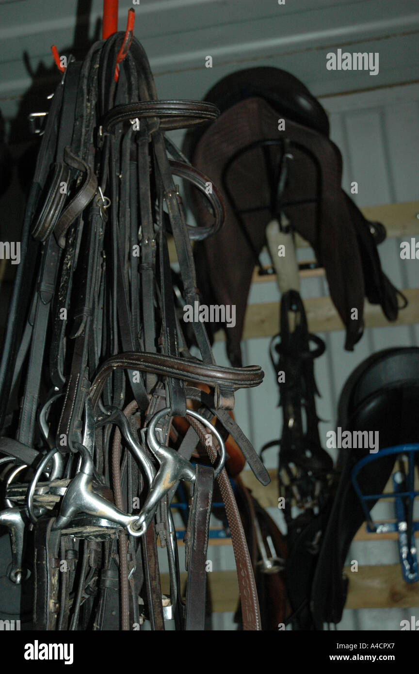 Equipment for Horse Riding Stock Photo Alamy
