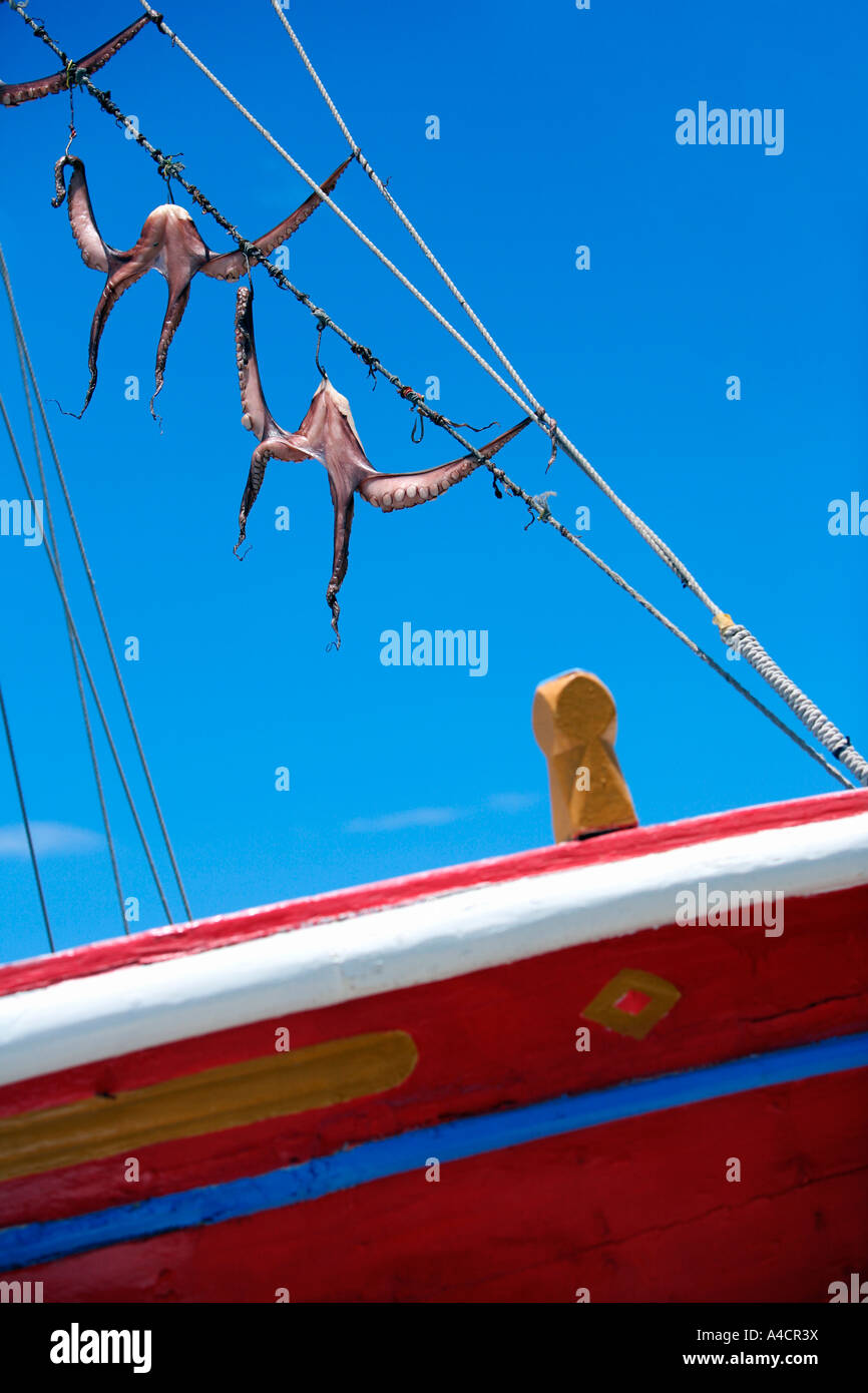 Octopus hanging to dry on boat Stock Photo