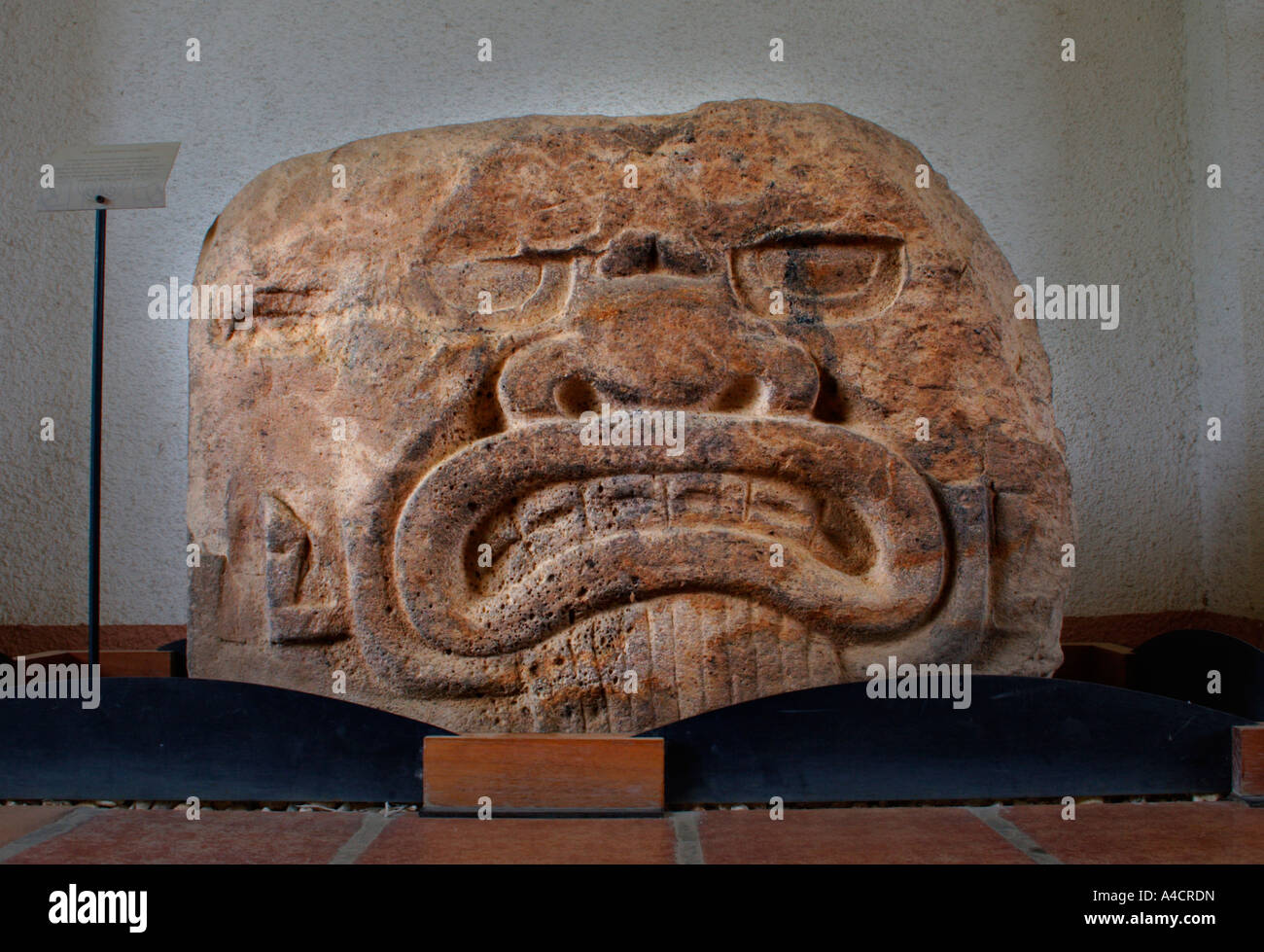 Stone sculpture, the museum at San Lorenzo Tenochtitlan, Mexico, 1200BC to  900 BC  Olmec Culture, Coatzacoalcos River drainage Stock Photo