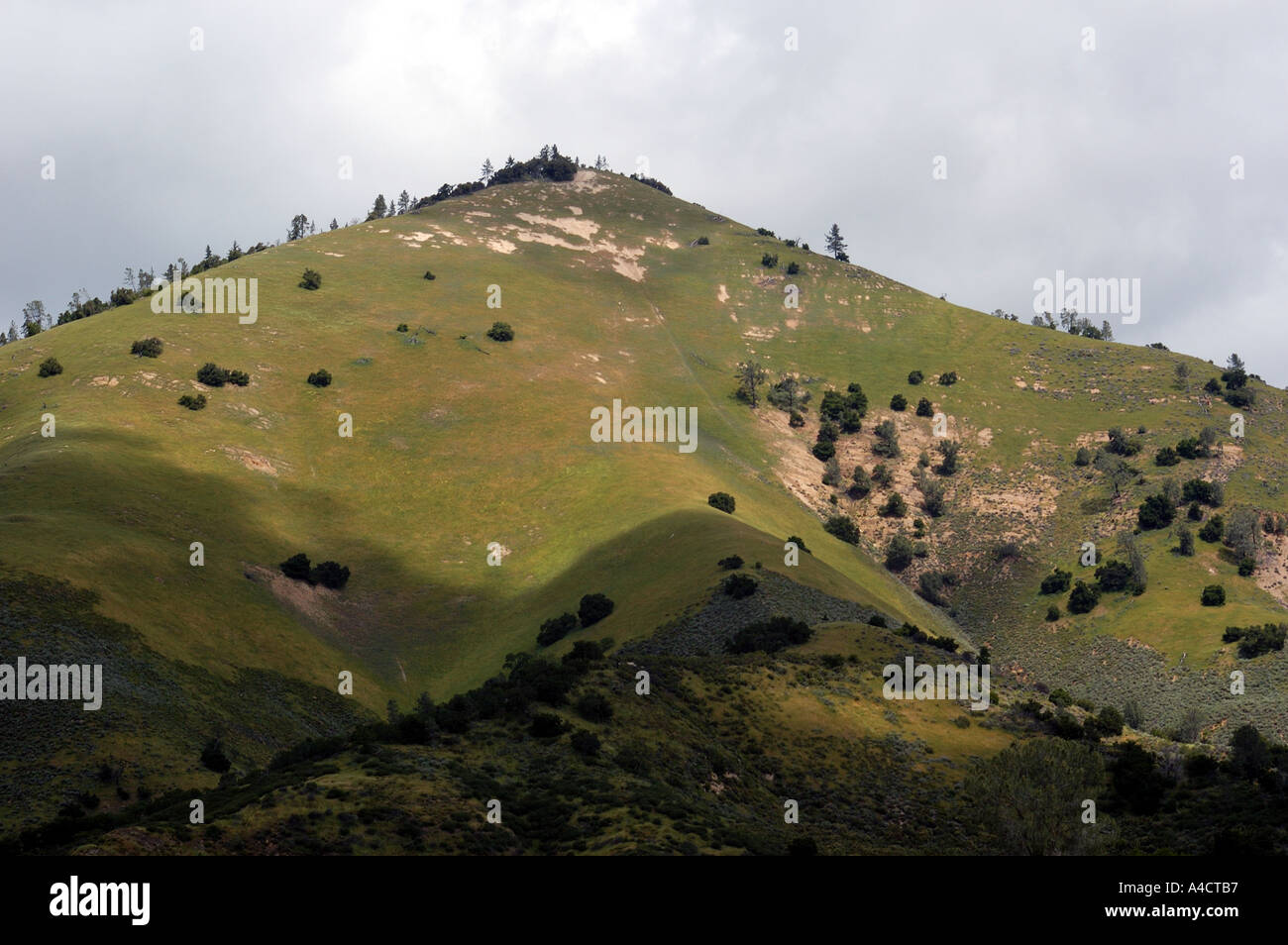 Los Padres National Forest Stock Photo Alamy