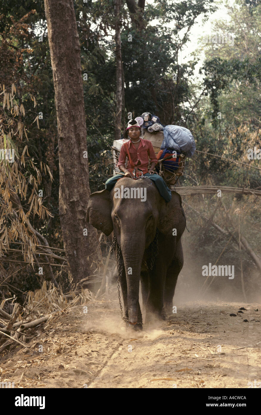 Karen State, Burma 1992 Elephants transporting cargo. In the wet