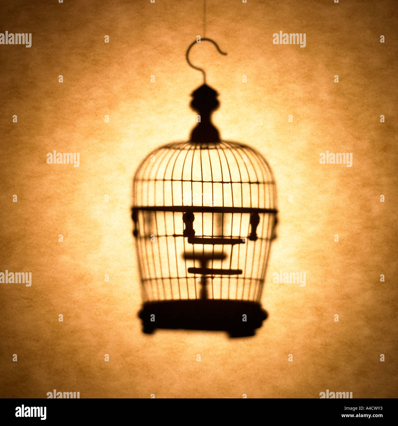Bird cage Silhouette Stock Photo - Alamy