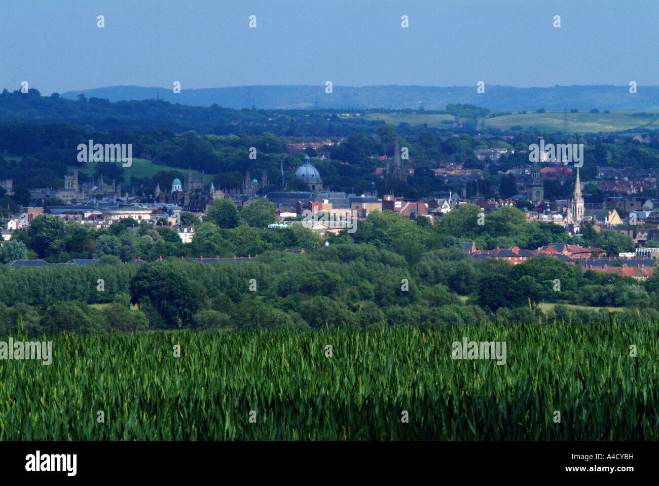 Spires of Oxford from Wytham Woods Stock Photo
