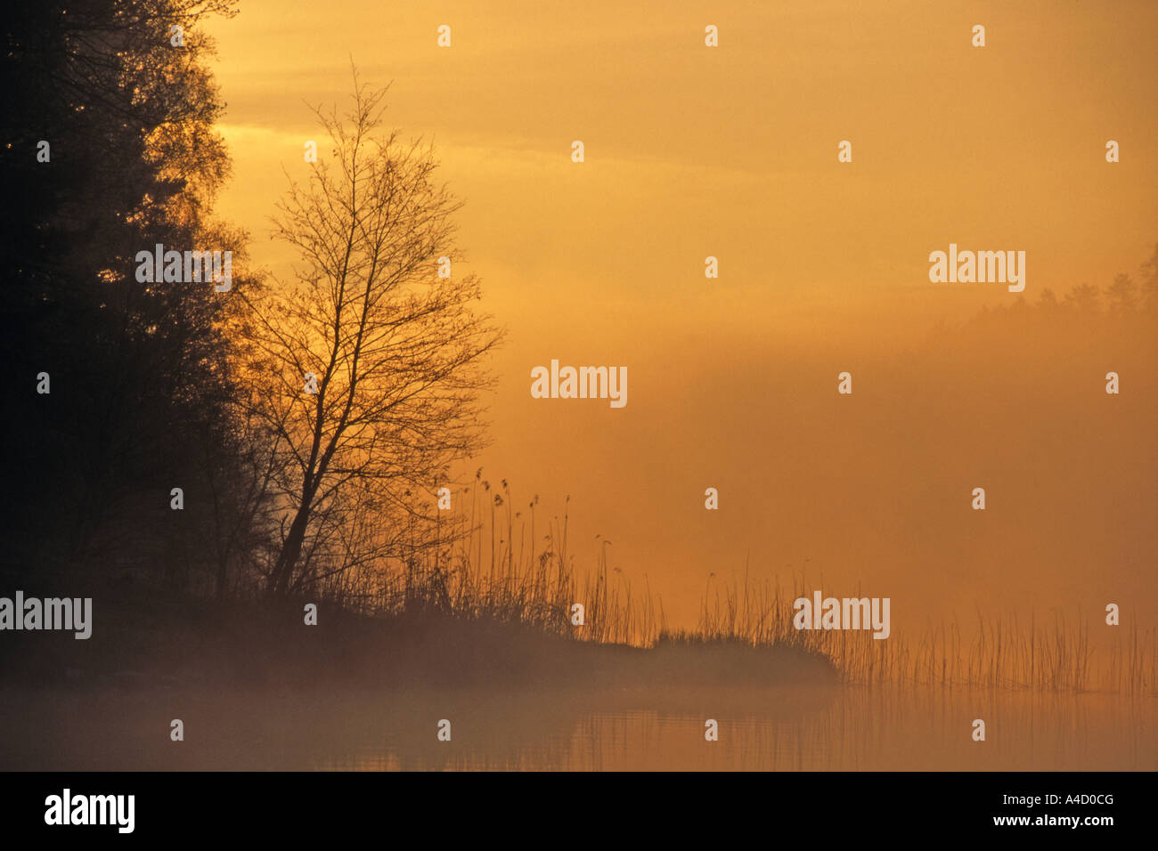 Sunrise at the lake Reintaler Stock Photo