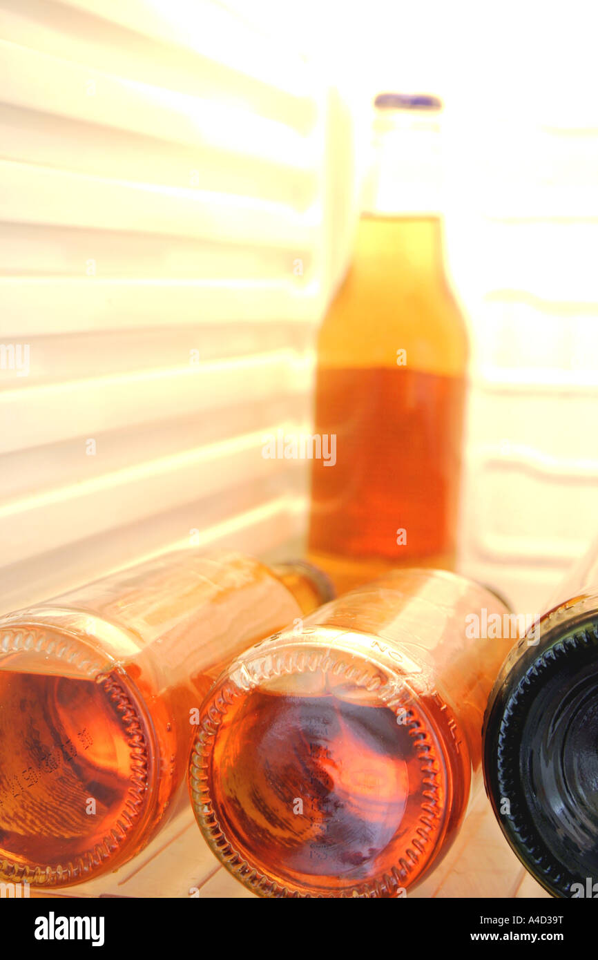 Beer bottles in fridge Stock Photo Alamy