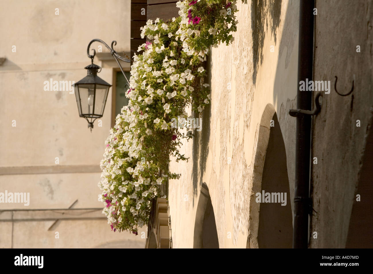 Street lamp and hanging flowers in the main square of Asolo, Veneto, Italy Stock Photo