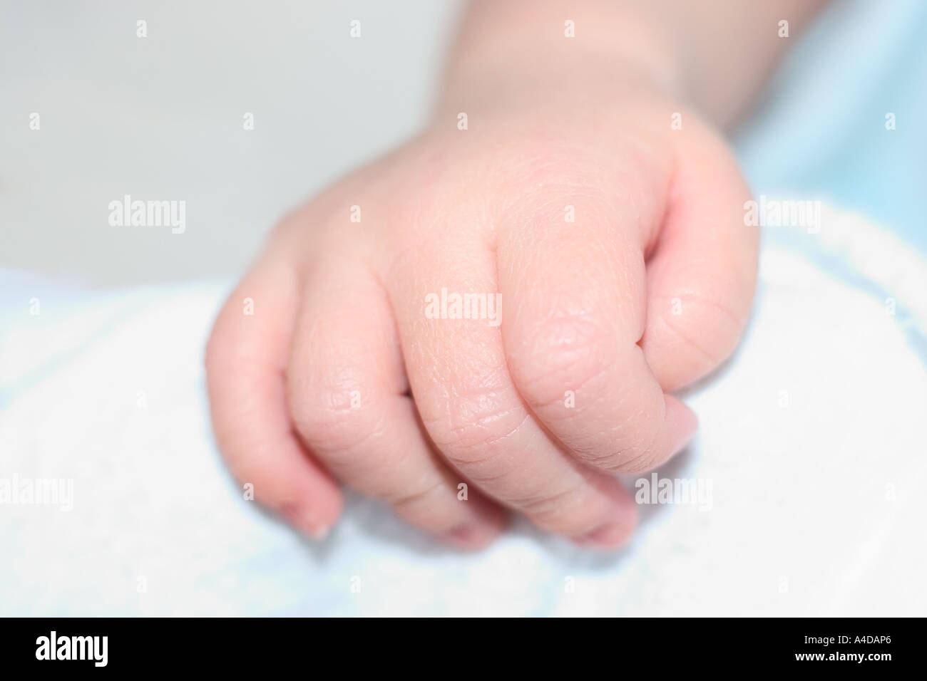 Newborn baby's hand Stock Photo Alamy