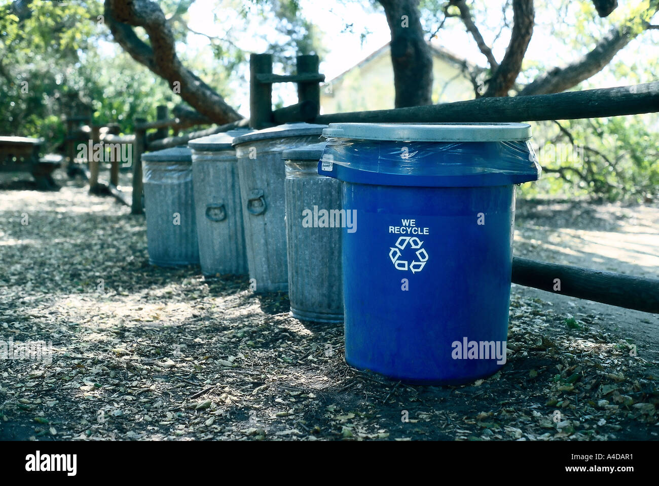 Line-up of trash cans with a recycling bin in the front Stock Photo - Alamy