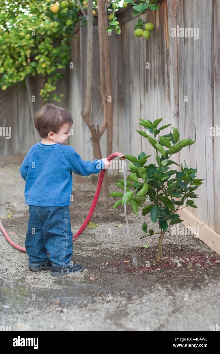 Boy watering a small tree Stock Photo Alamy