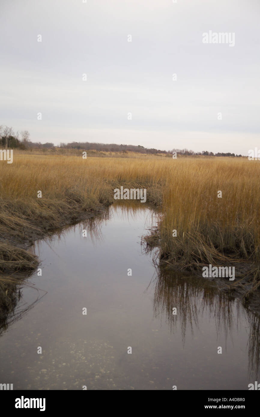 Marshy Inlets Mud of inlet hi-res stock photography and images - Alamy