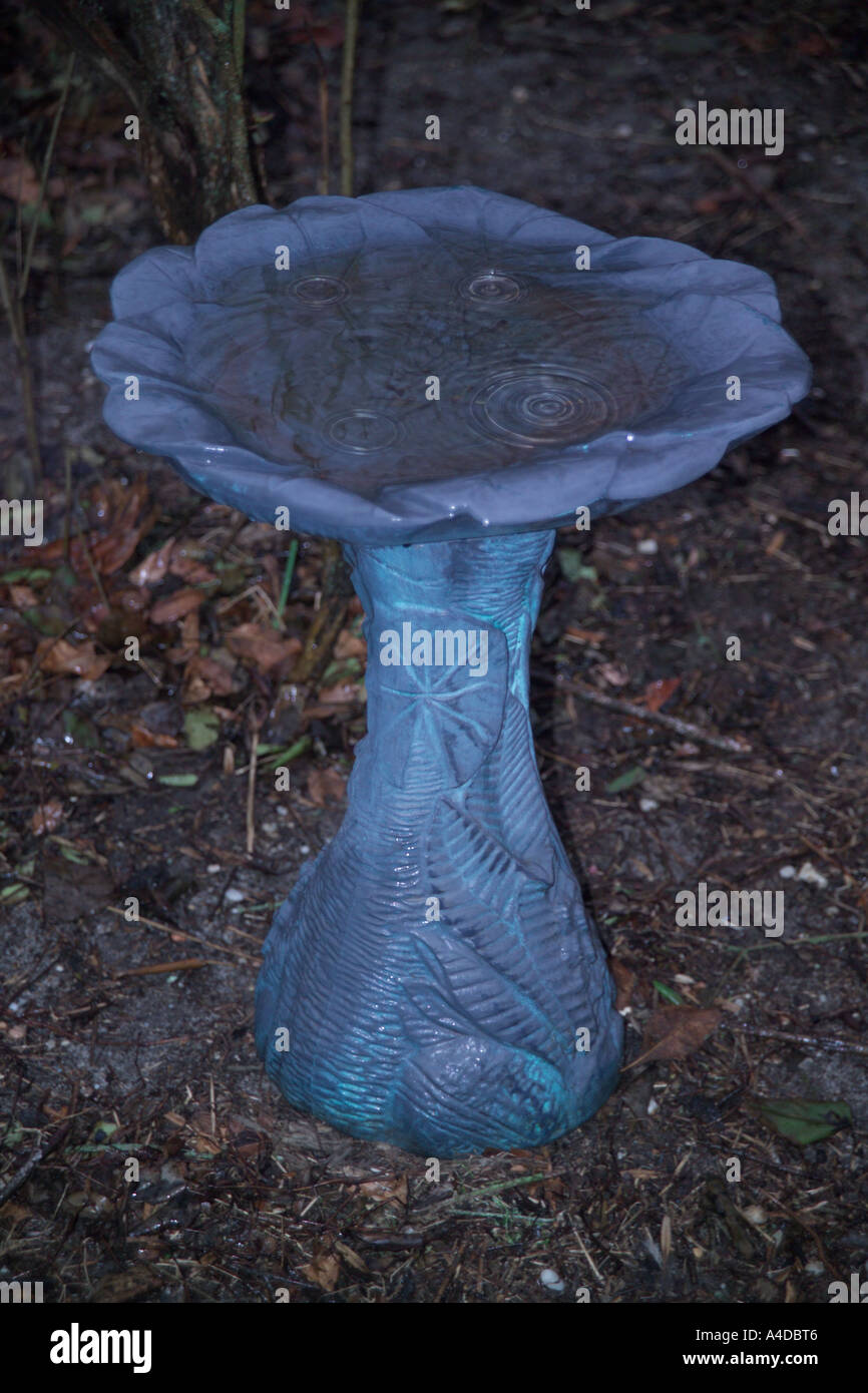 Bird feeder in the rain Stock Photo Alamy