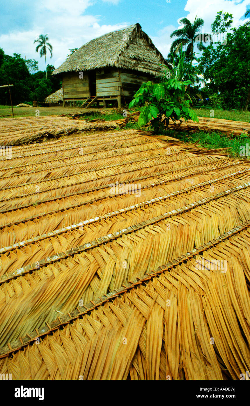 Woven palm hi-res stock photography and images - Alamy