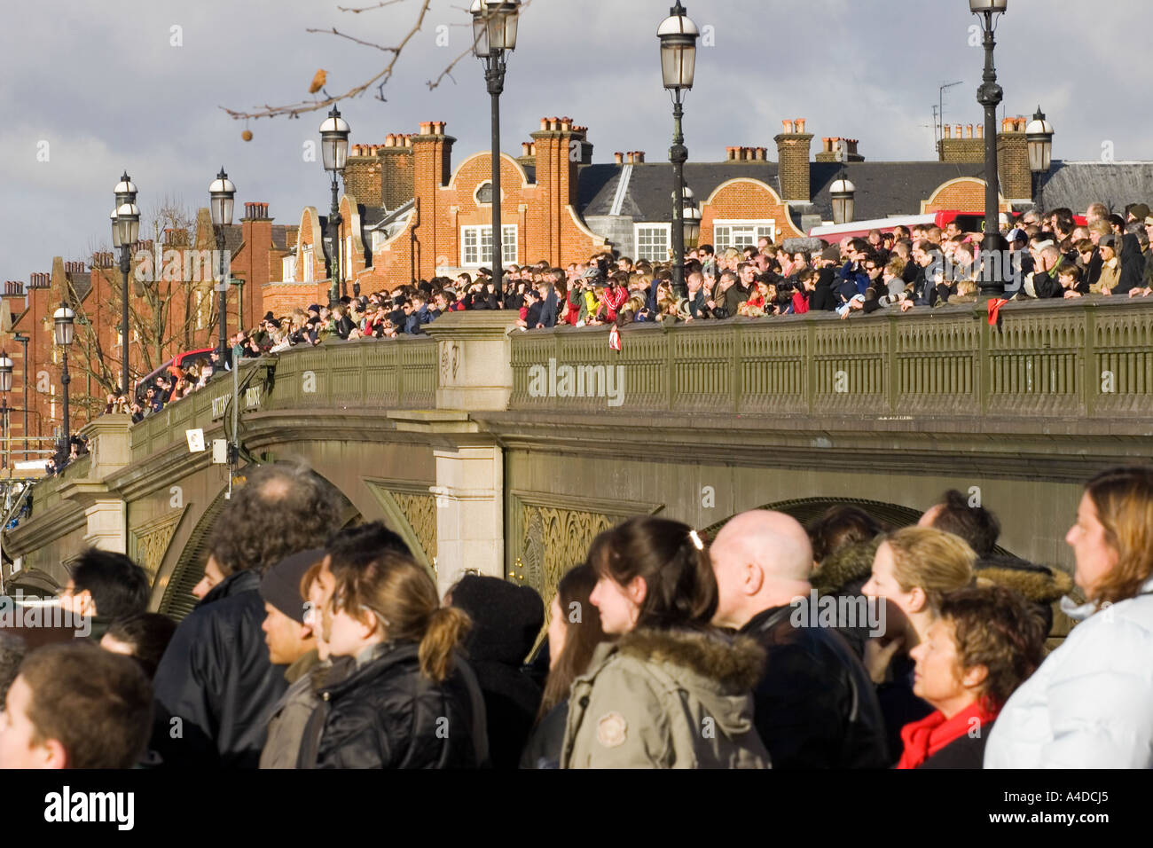 Crowds Watch Thames Whale Rescue Attempt - Battersea Bridge - London Stock Photo