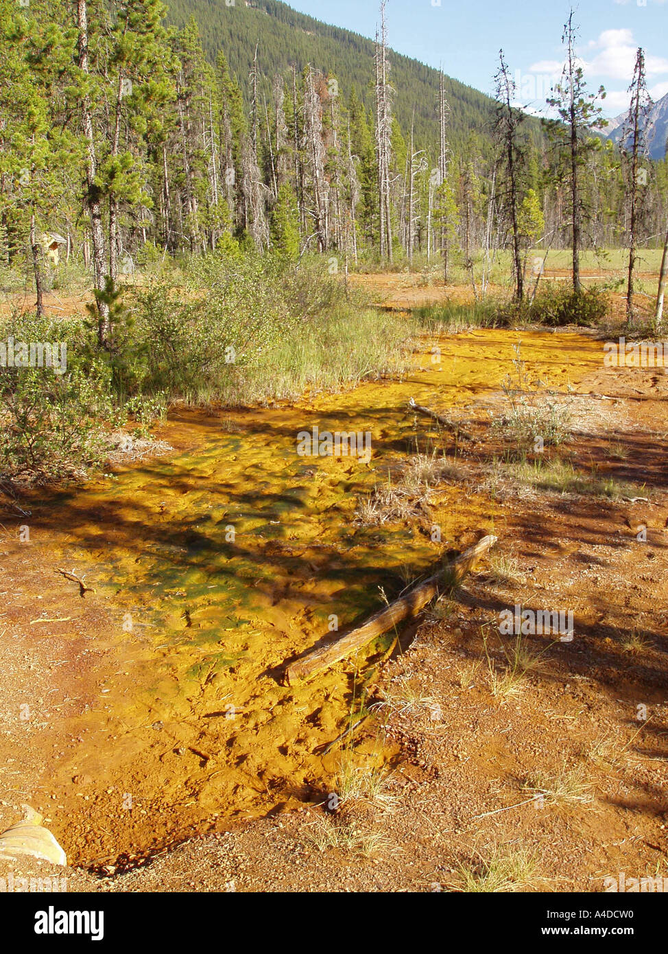 The Paintpots Kootenay National Park Canada Stock Photo Alamy   The Paintpots Kootenay National Park Canada A4DCW0 