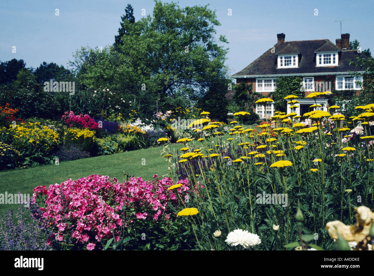 Long view of large country house showing lawn and summer perennial borders with pink phlox and yellow achillea Stock Photo