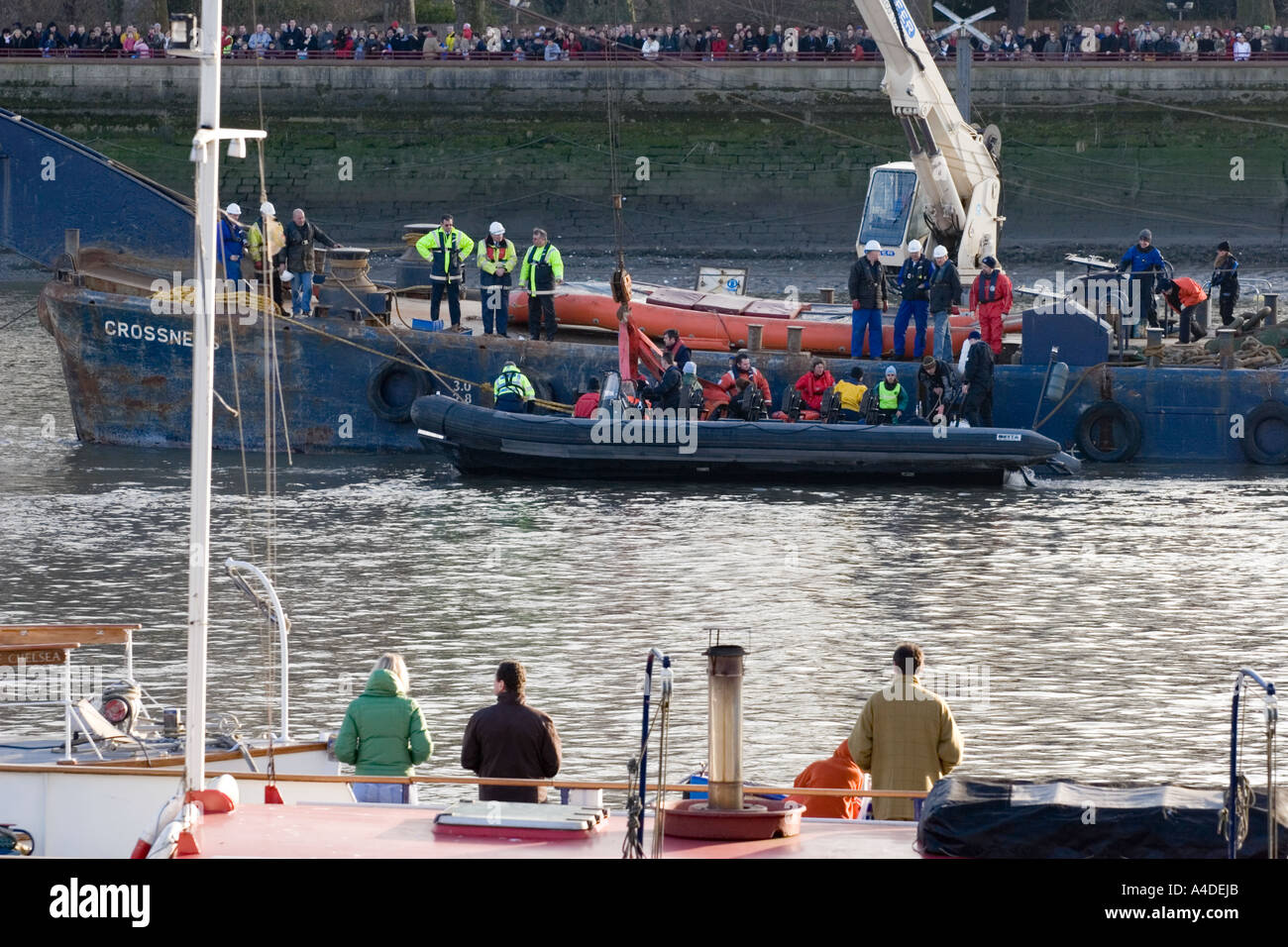 Thames Whale Rescue Attempt - London Stock Photo