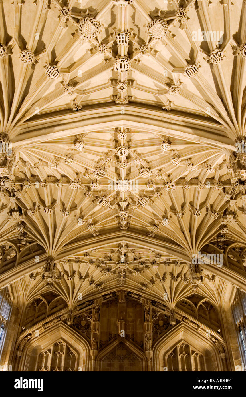 Lierne vaulted ceiling - Divinity School - Oxford Stock Photo