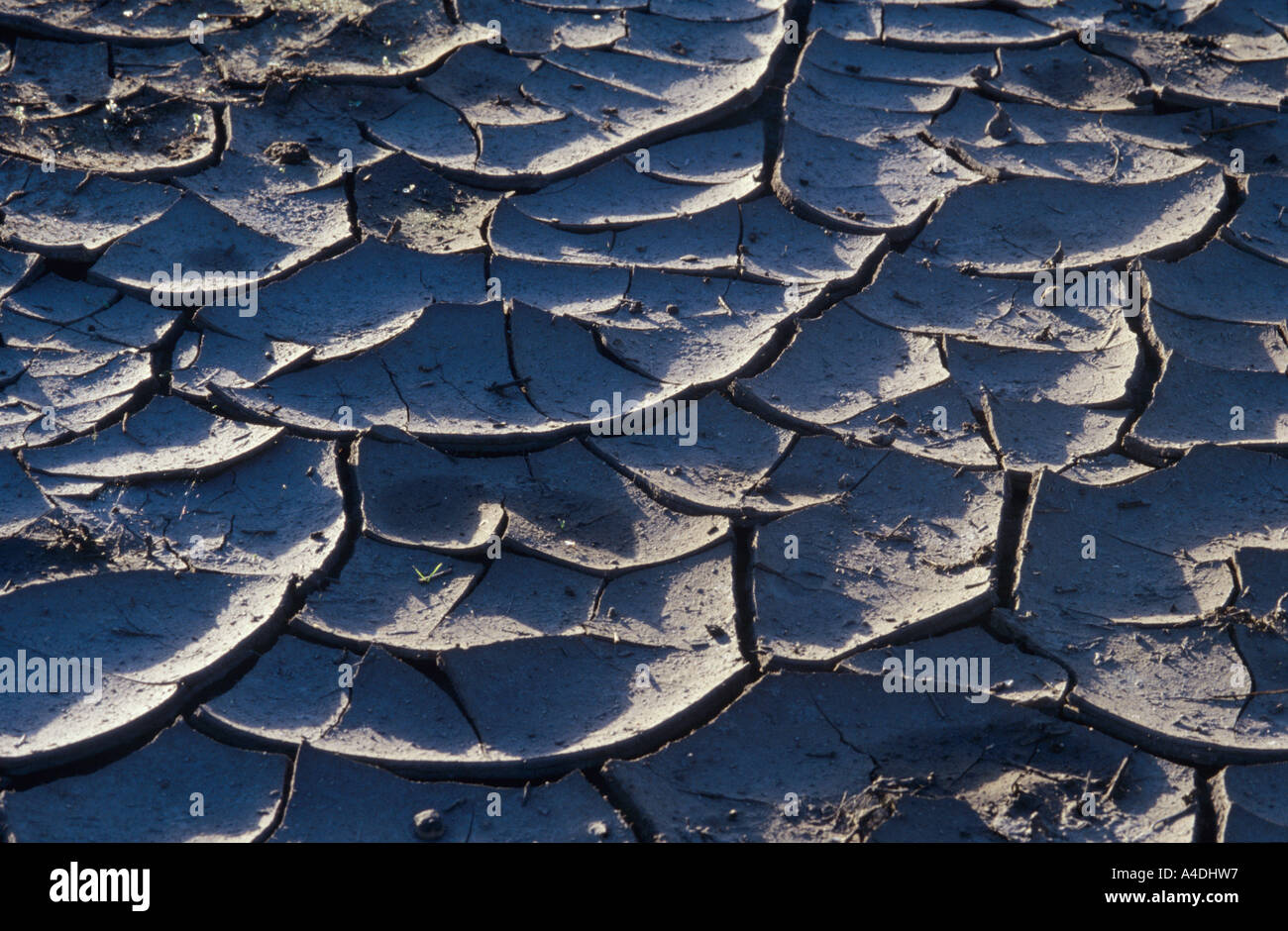 Dry waterhole showing stress pattern of cracked mud Stock Photo - Alamy
