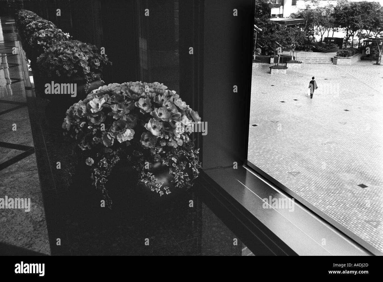 Flowerpots in a building. Hong Kong, Peoples' Republic of China, HKSAR Stock Photo