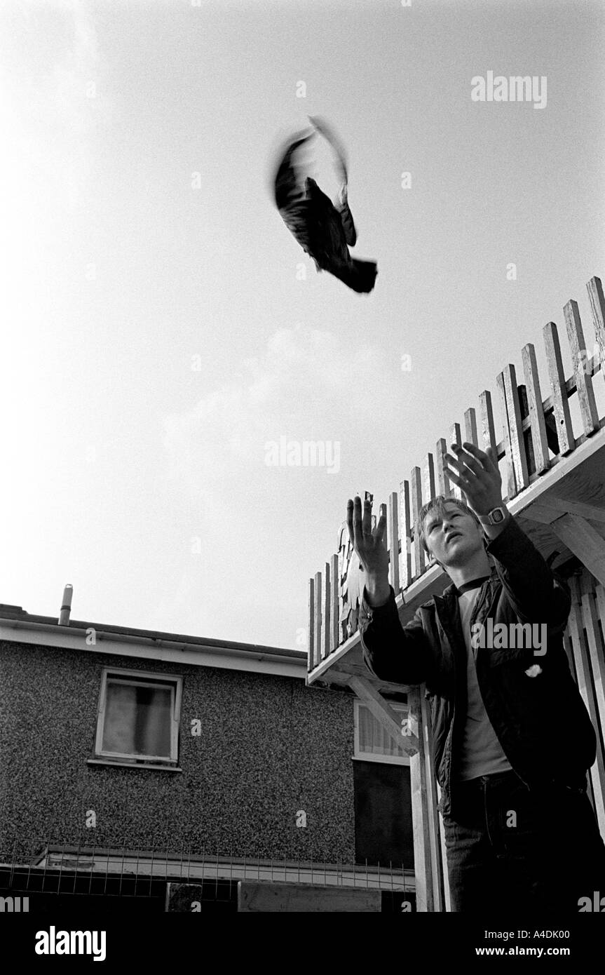 Ford estate 1981 hires stock photography and images Alamy