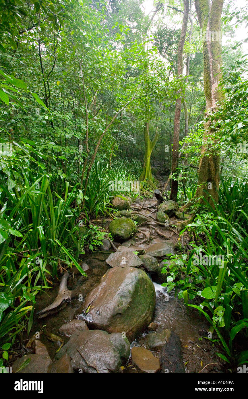 Las Pailas trail at Rincón de la Vieja, Guanacaste, Costa Rica Stock Photo