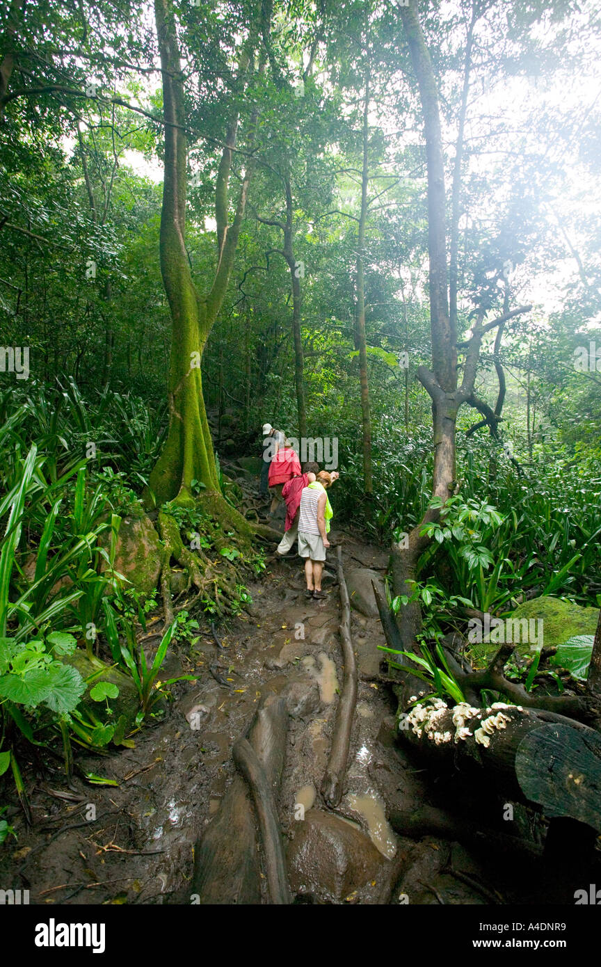 Tourists on Las Pailas trail at Rincón de la Vieja, Guanacaste, Costa Rica Stock Photo
