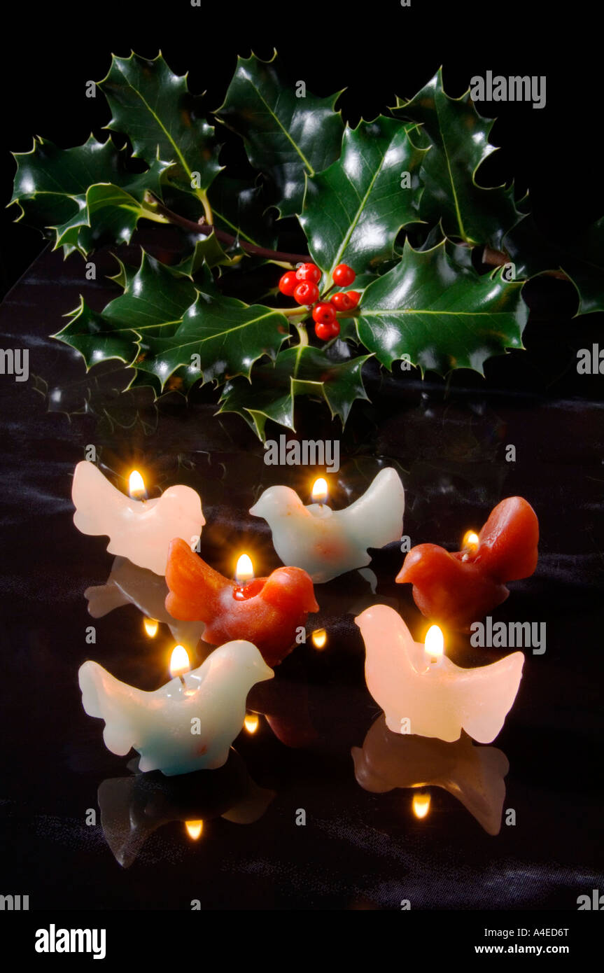 13,990 Christmas Holly Stock Photos, High-Res Pictures, and Images