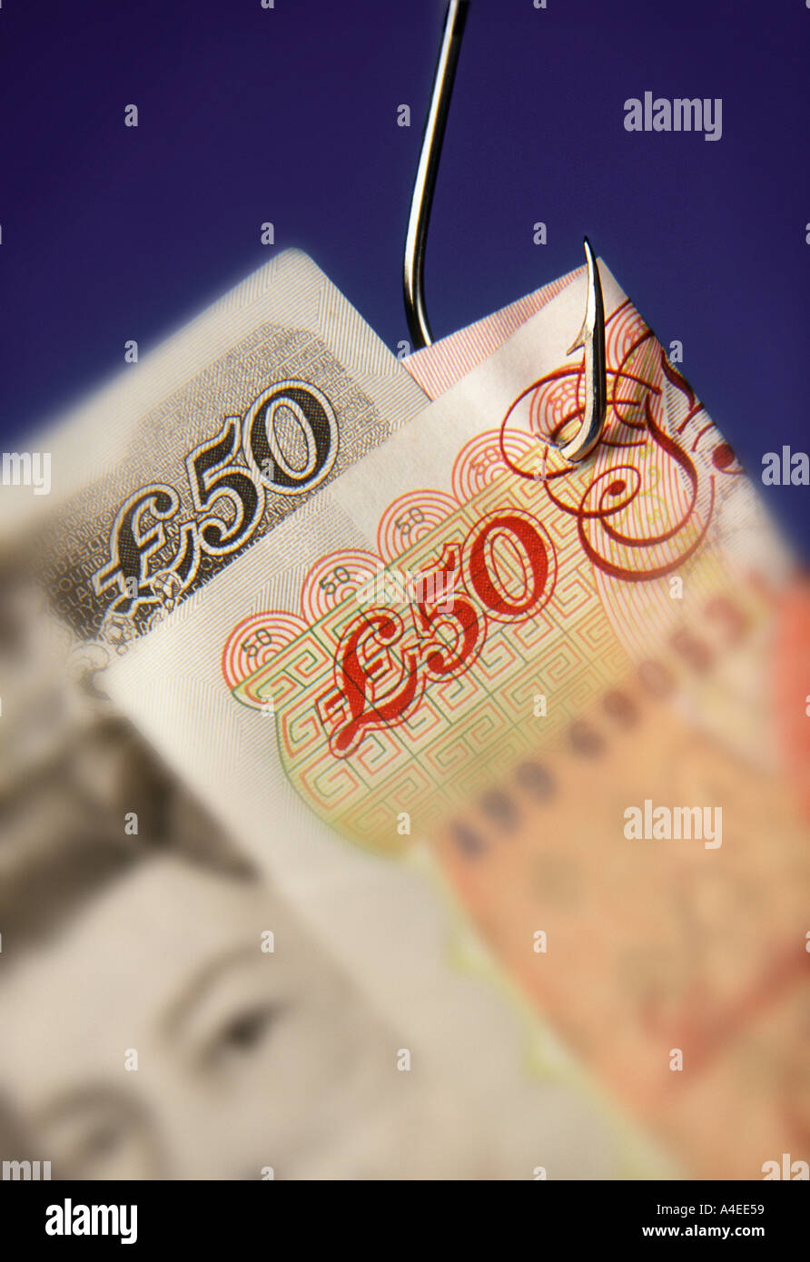 fifty UK pound note on fishhook Stock Photo
