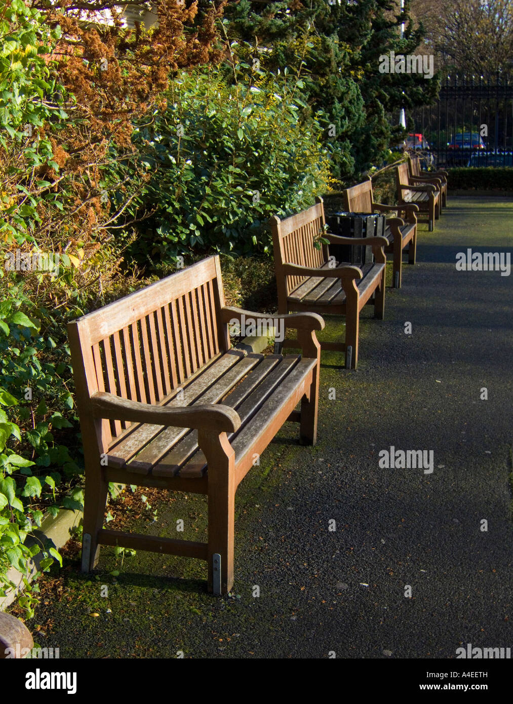 Benches to relax on in a public park in Dublin , Ireland Stock Photo