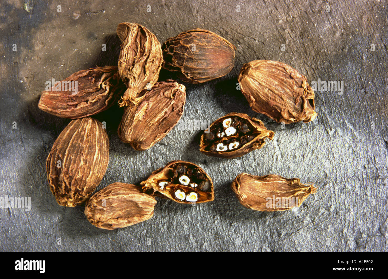 Spice medicinal plant black Cardamon Cardamom Seeds Eletteria