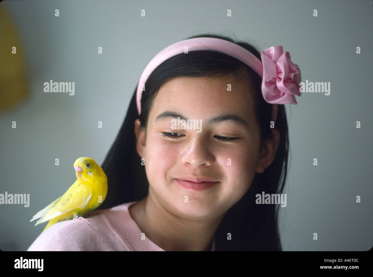 17390 girl 11 years old with pet parakeet on her shoulder MR 1 San Francisco California USA Stock Photo