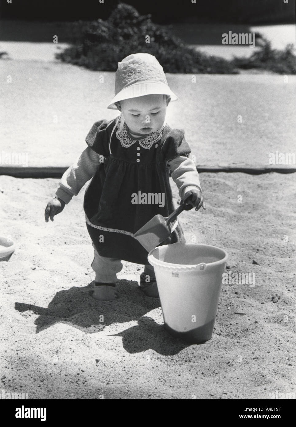 5320 26 fourteen month old girl plays with plastic pail shovel in sand box in a playground San Francisco California USA Stock Photo