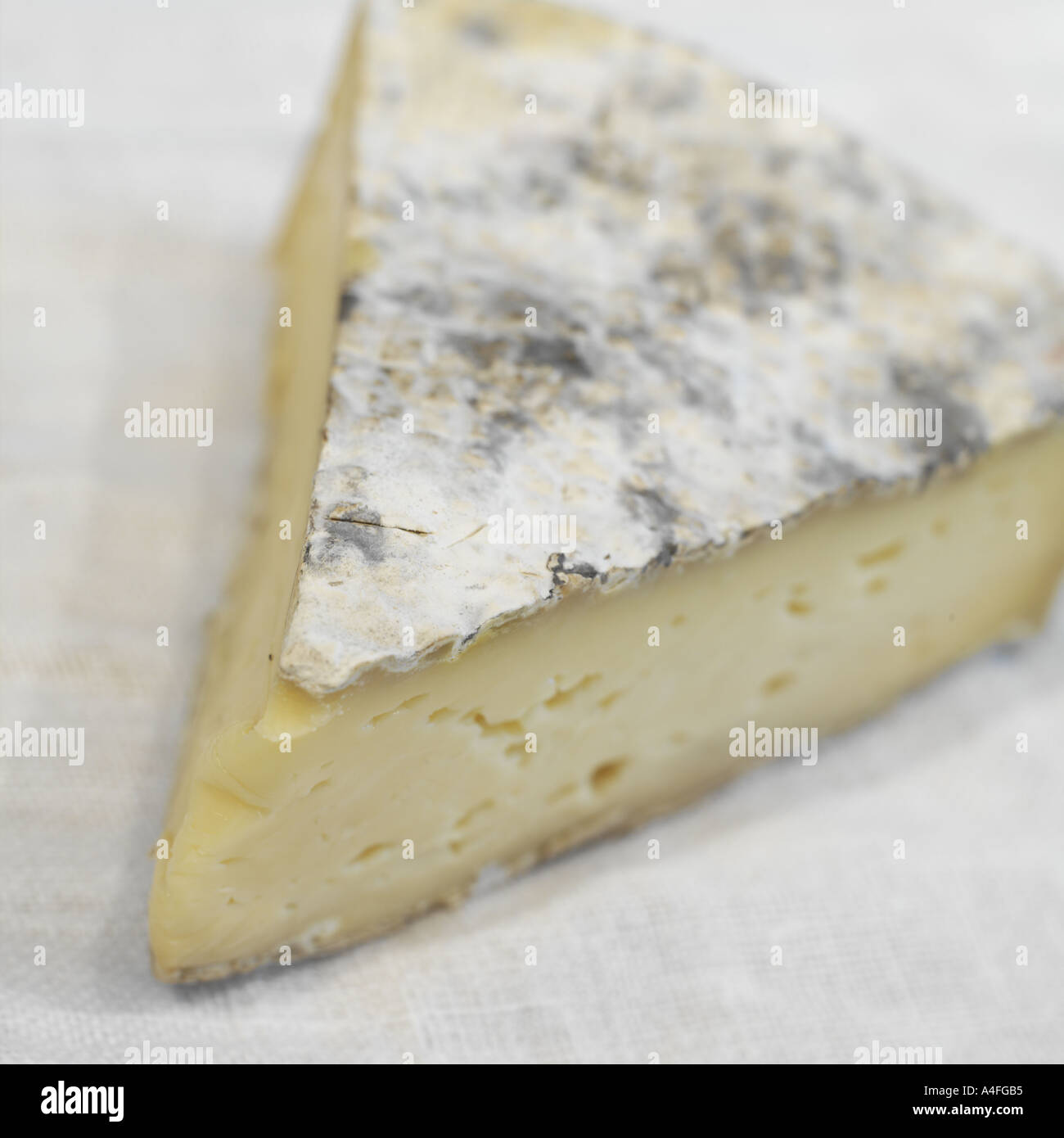 Christiana Brie Artisanal handmade cowsmilk cheese from Amish country