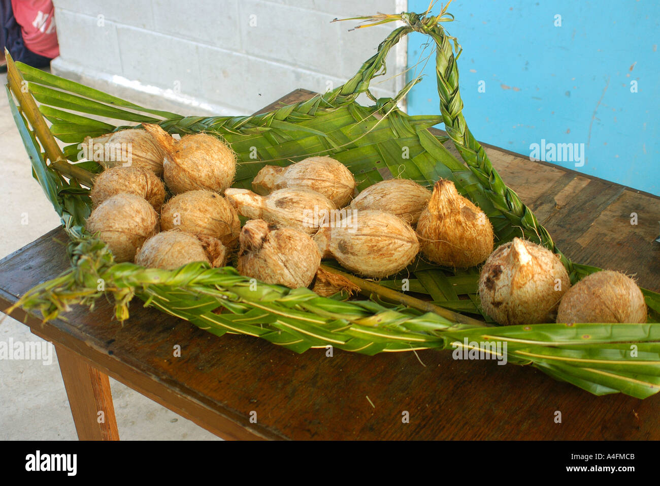Fresh coconuts in traditional hand made basket Majikin Isalnd Namu