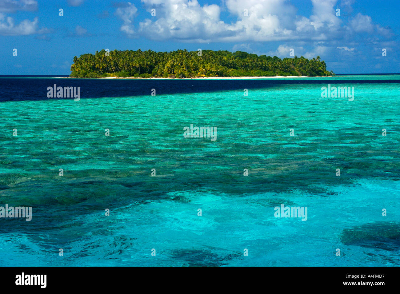 Uninhabited island Namu atoll Marshall Islands N Pacific Stock Photo