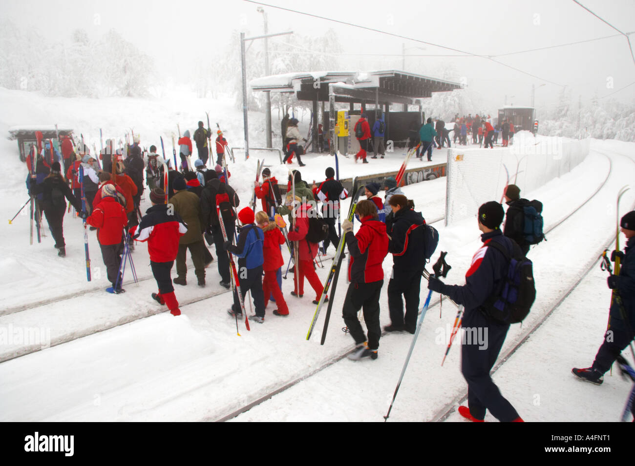 Norway, Oslo, Frognerseteren Skiers and snow boarders cross the metro train  line at the Frognerseteren station near the Tryvann Stock Photo - Alamy