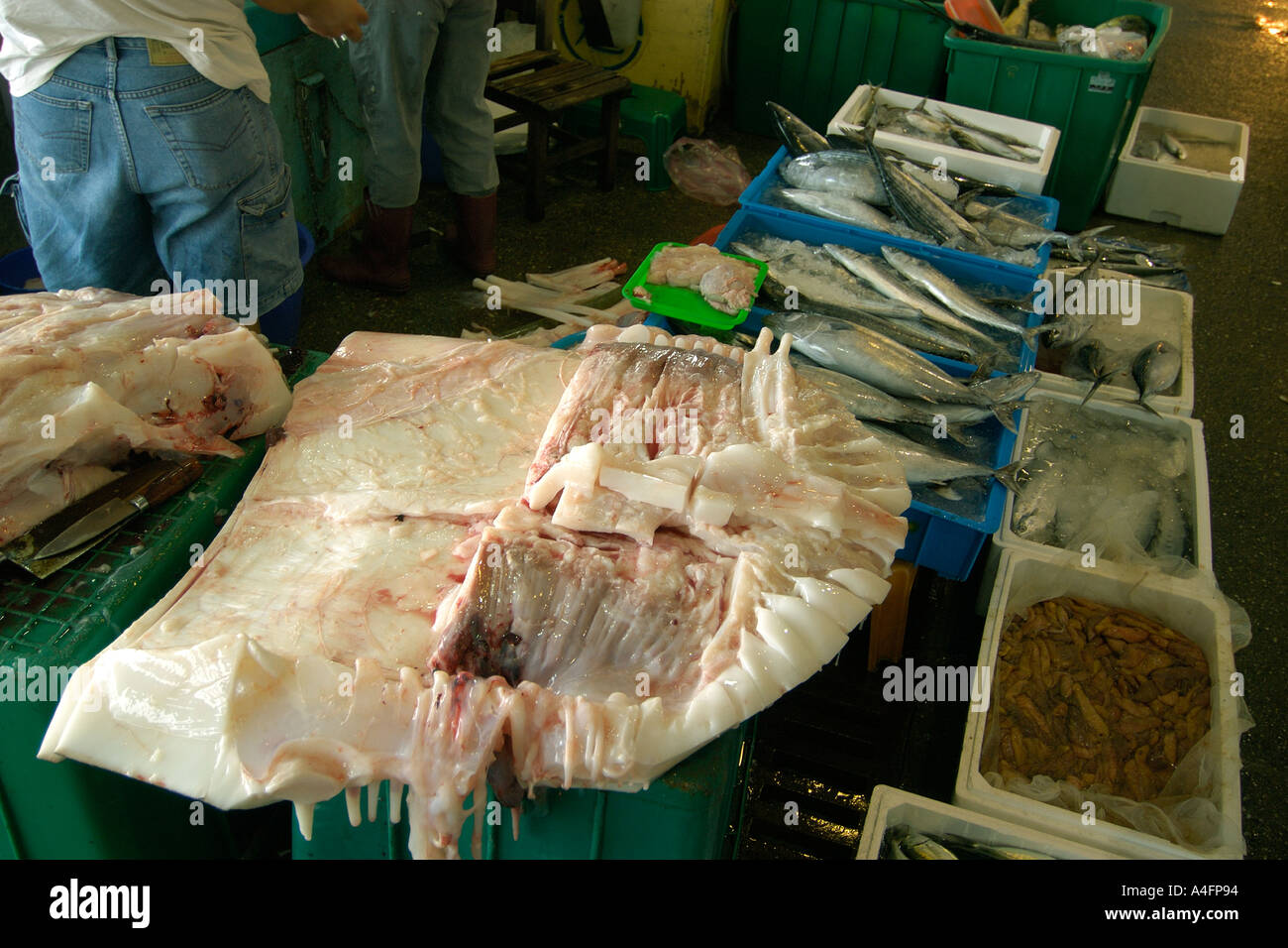 Seafood including whale shark meat tofu shark Nanfang ao fish market