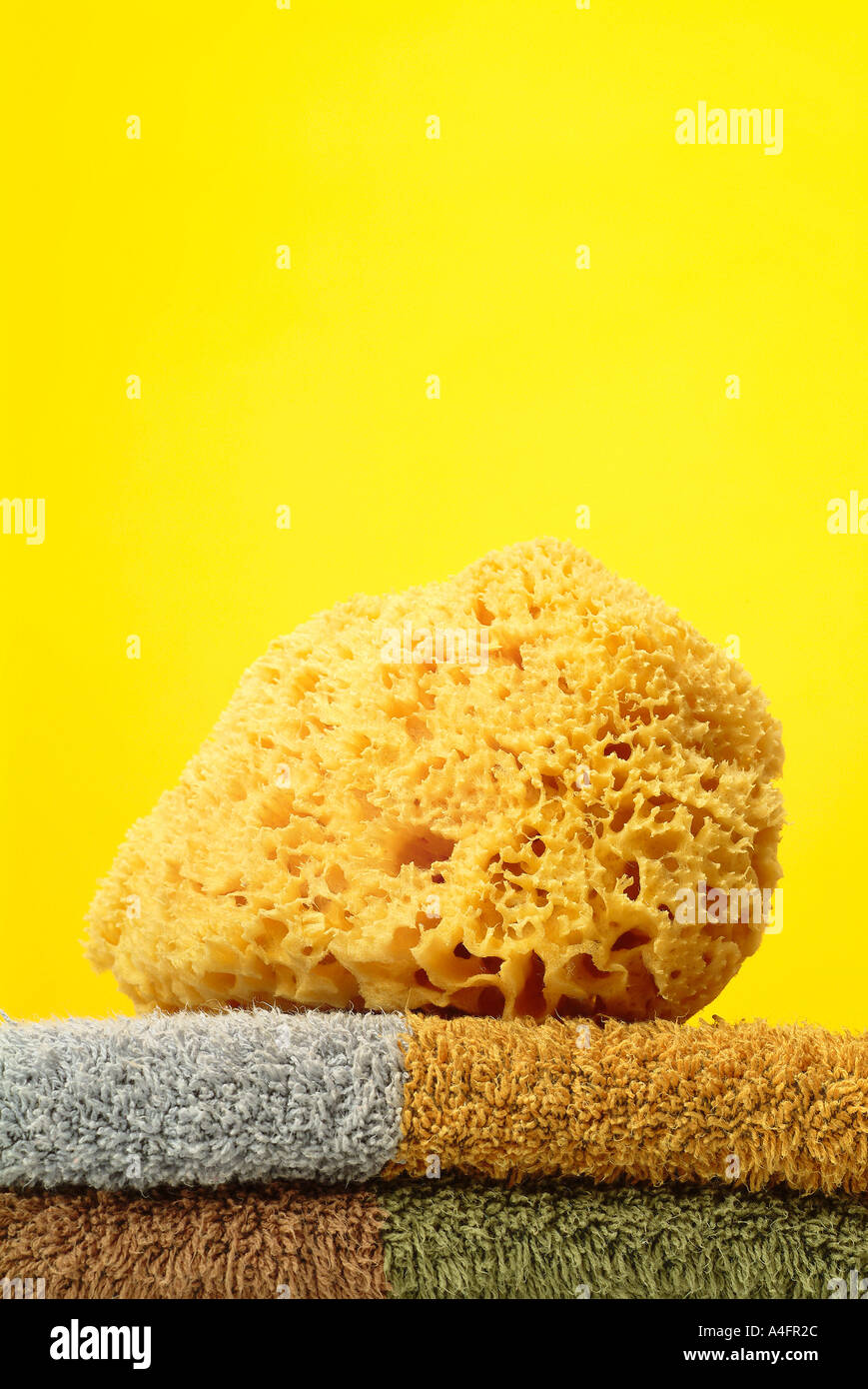 Naturschwamm Stock Photo
