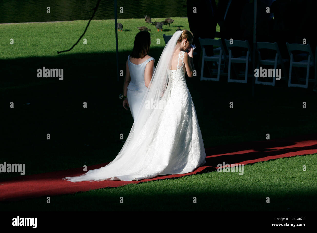 Melbourne wedding hi-res stock photography and images - Alamy