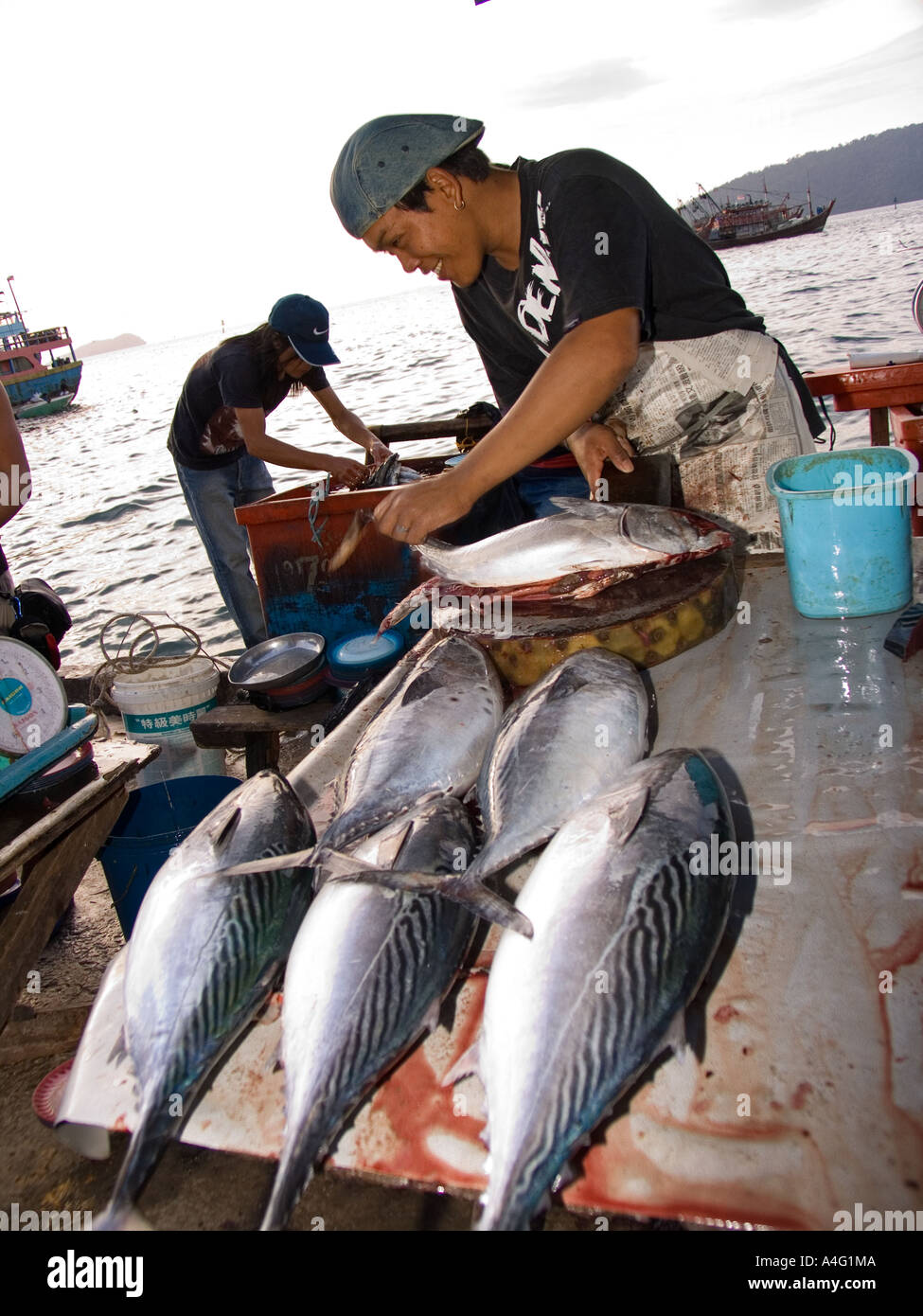 Malaysia Borneo Sabah Kota Kinabalu Filipino fish Market  stall Stock Photo