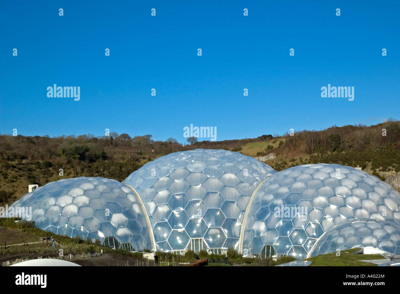 the glass biomes at the eden project in cornwall,england Stock Photo