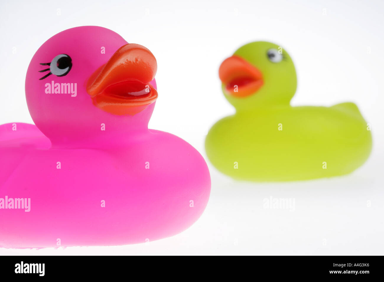 DEU Germany Rubber duck Stock Photo Alamy