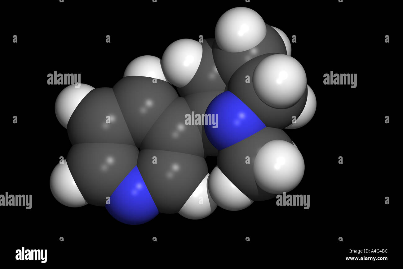 Nicotine is a colorless one oily much poisons liquid and affects in small quantities energizing the vegetative nervous system Stock Photo