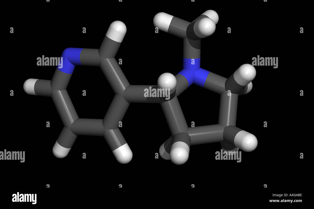 Nicotine is a colorless one oily much poisons liquid and affects in ...