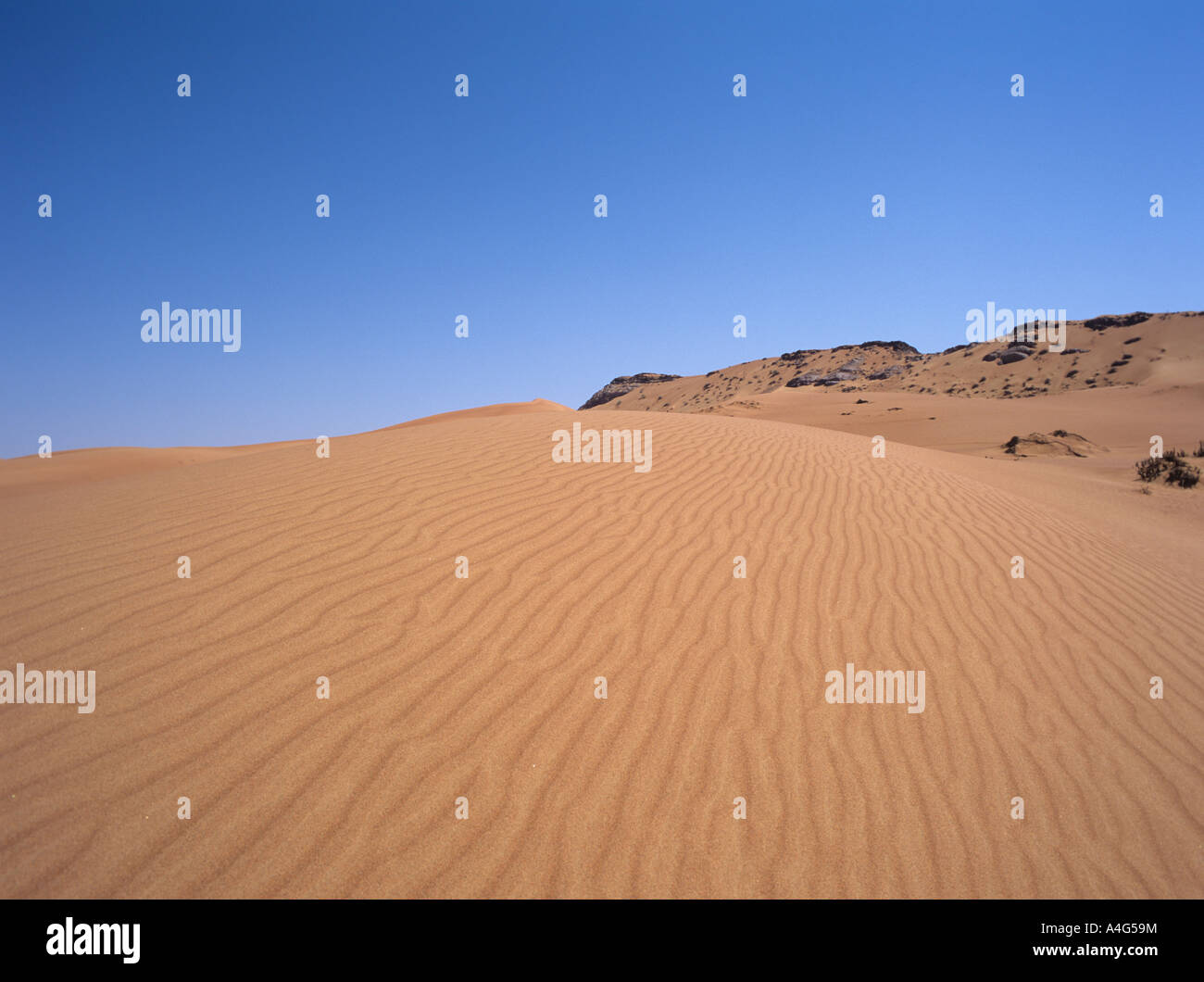 Uae Sand Dunes Stock Photo Alamy Uae Sand Dunes Stock Photo Alamy