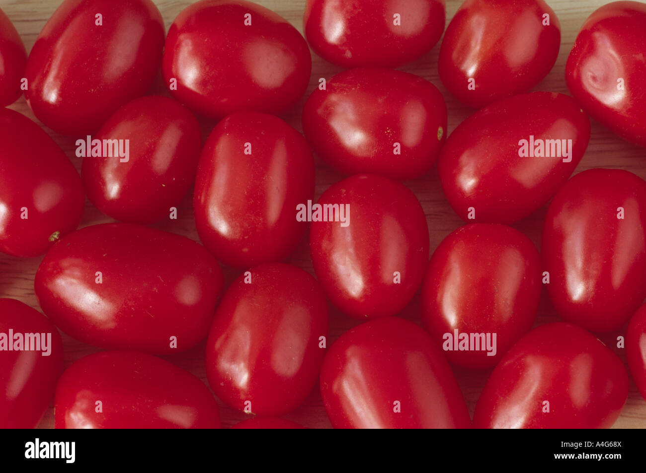 Solanum lycopersicum syn Lycopersicon esculentum  'Santa' (Tomato) Small elongated red tomatoes on the table. Stock Photo