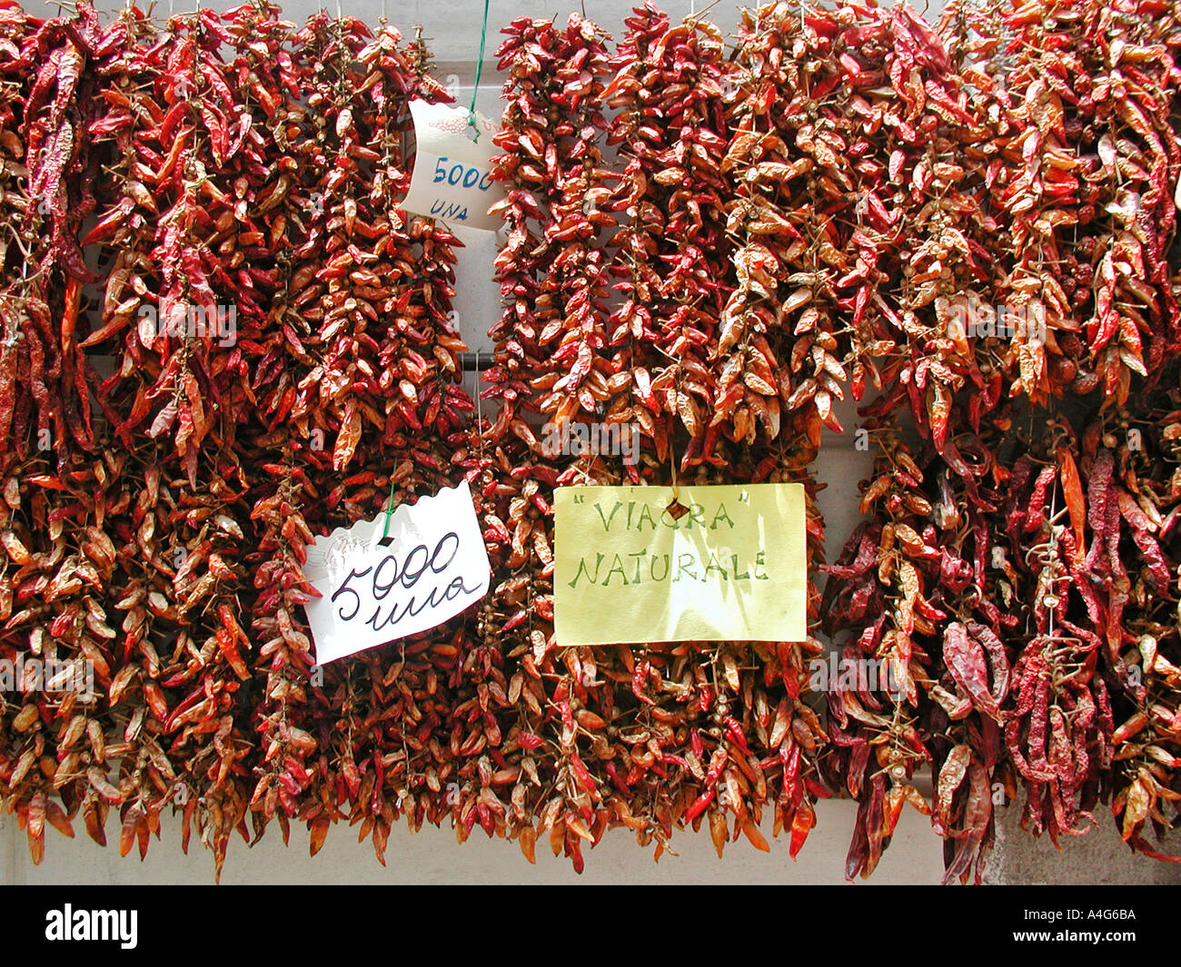 Dried peppers hanging ouside shop in Amalfi Italy advertising as natural Viagra Stock Photo